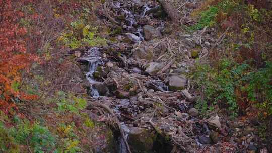 溪流，岩石，水，流动