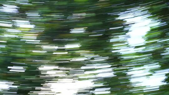 树叶光影模糊运动森林转场绿色树木快速移动