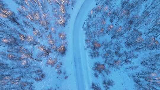 夕照雪原桦林雪路视频素材模板下载
