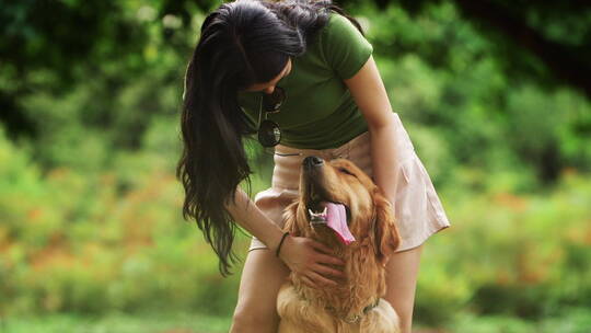 长发美女抚摸她的金毛宠物犬狗和主人在公园