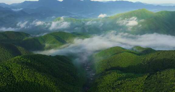 高山竹海云雾云海航拍杭州余杭百丈