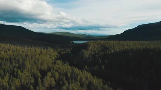 晴朗夏日森林山谷湖泊航拍视频素材模板下载