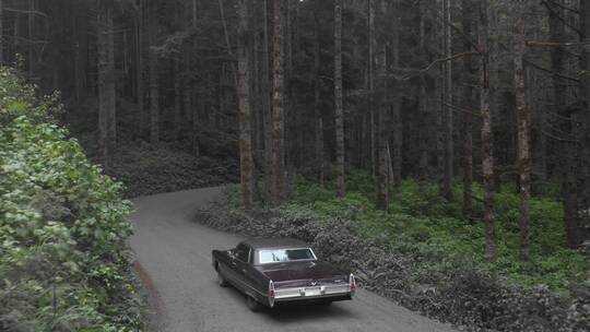 森林里旅行的老爷车