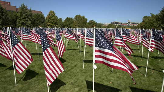 走过一排排在风中飘扬的美国国旗
