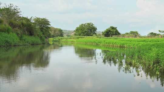 哥斯达黎加，塔尔科尔斯河，风景，乘船旅行