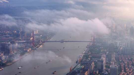 上海平流雾  云雾中的上海城市风景