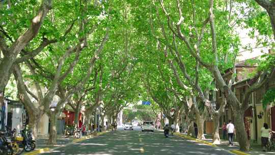 永福路 复兴西路 上海人文 喝咖啡的人