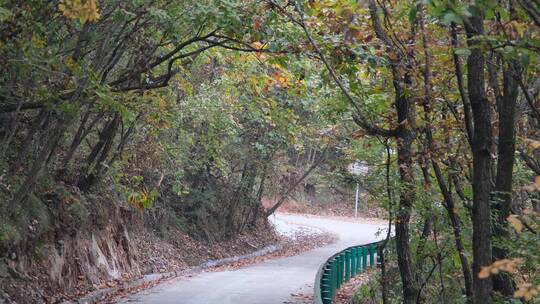 秋天山林中的小路