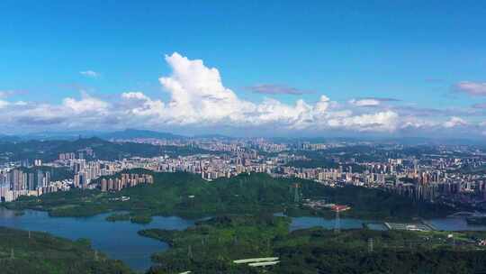 深圳罗湖、福田、南山、龙岗、龙华全景