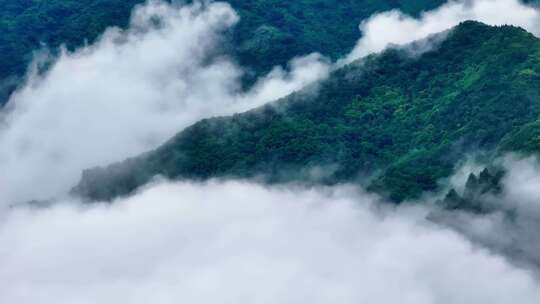 航拍森林云雾云海 秦岭山脉