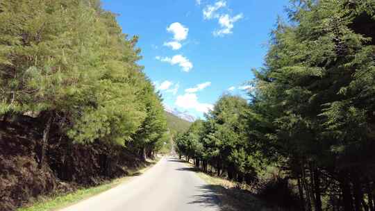 山间公路交通实拍