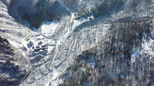 （航拍）森林雪景