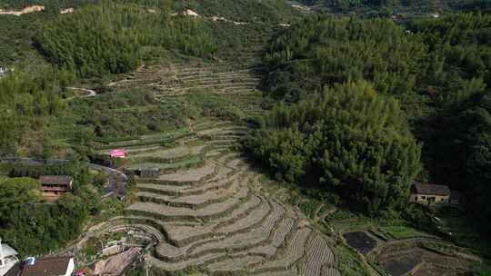 丽水遂昌山村