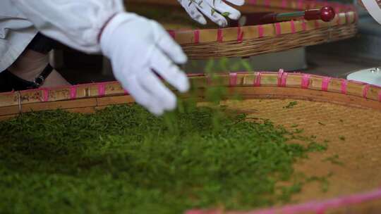 茶叶 茶 品茶 采茶制茶 茶山 摘茶