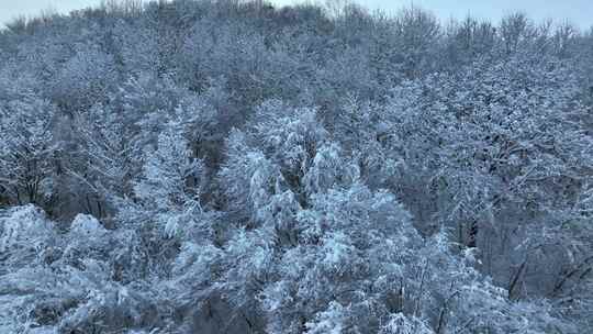 航拍东北下暴雪林海雪原威虎山