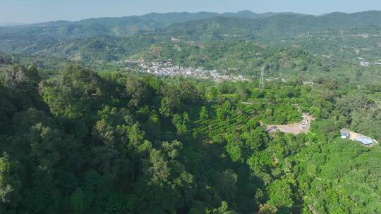 航拍茶山茶园