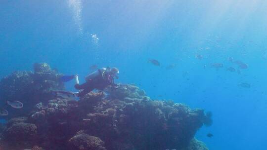 潜水员在海底暗礁处潜水视频素材模板下载