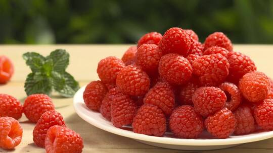 红莓 桑葚 水果