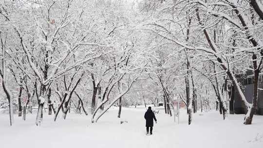 大雪覆盖城市