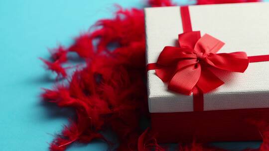 红色羽毛上礼物盒子