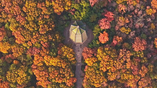 南京钟山风景区灵谷寺秋景