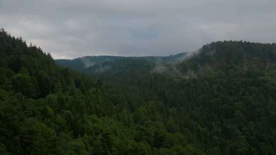 航拍云雾森林原始森林自然风景