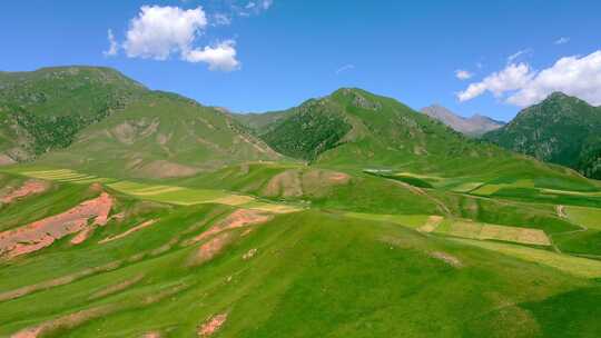 山脉高原草甸牧场田野大景航拍