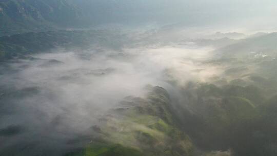 航拍恩施鹤峰走马木耳山茶谷生态田园茶园