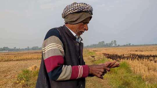 印度农村老头农民