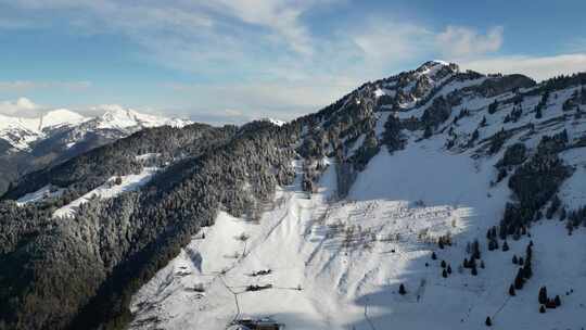 蓝天日，厚厚的积雪覆盖了山坡和松树林的带