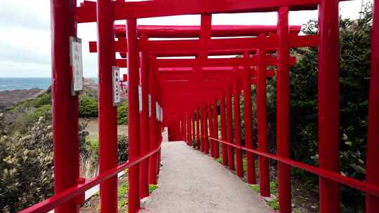 元之见、神社、红色、鸟居