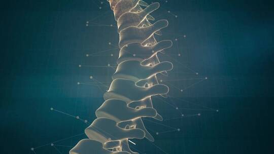 高科技显示脊椎关节视频素材模板下载