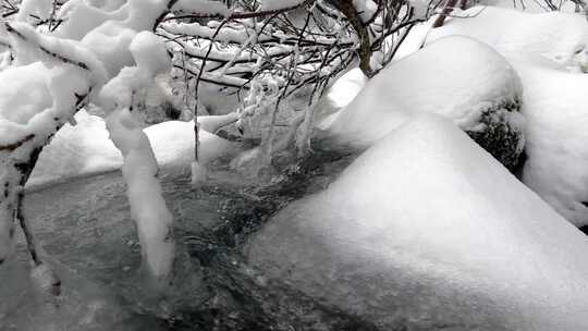 冬天溪流的淡水