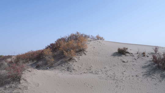 新疆沙漠的秋天景色视频素材模板下载