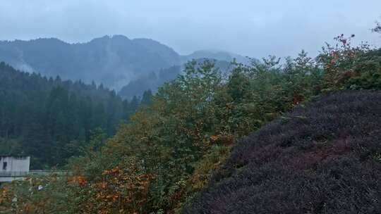 高清实拍眉山洪雅瓦屋山