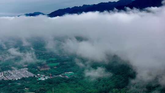 航拍秦岭山脉森林云雾风光