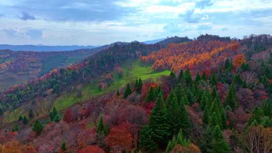 4K秋天色彩五花山光雾山秋景风光自然新疆