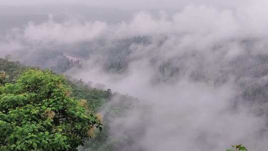 木黎明景观咖啡