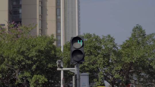 广州天黄浦区红绿灯人行道合集视频素材模板下载