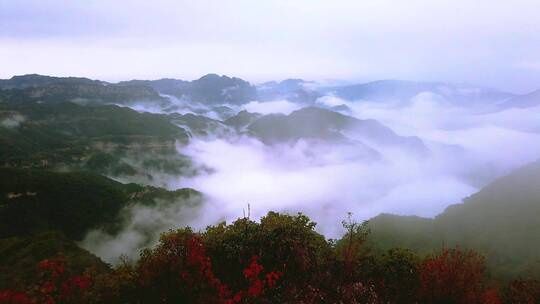 河南济源王屋山云海风光延时