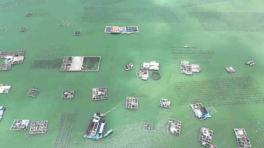 合集行驶的渔船查看养殖海鲜水产品航拍