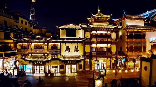 上海豫园古建筑夜景视频素材模板下载