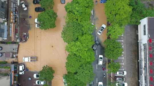 2024年6月下旬黄山市暴雨后洪水来袭