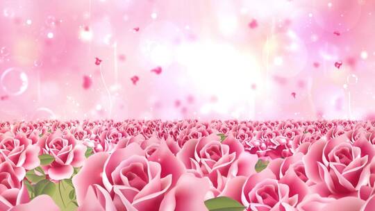 母亲节花海温馨粉色背景视频素材