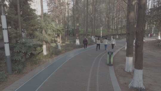 4K上海在公园晨练的居民视频素材模板下载