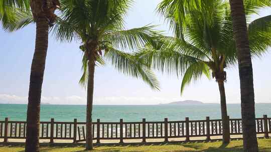 海边沙滩椰子树热带风景