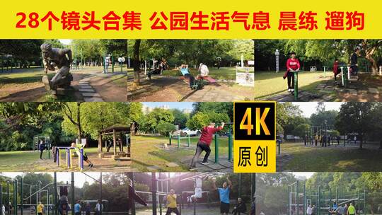 公园生活气息市民晨练运动遛狗4k30帧合集