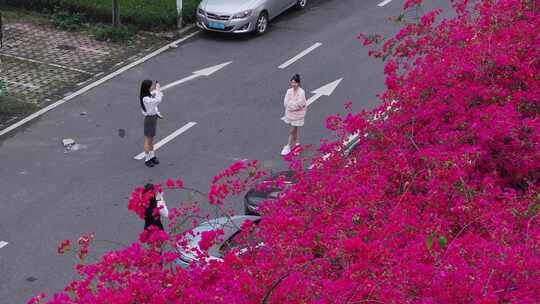 中国广东省佛山市华师附中南海实验高级中学风景