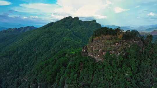 福建武夷山国家公园岩茶核心产区0561