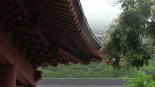 雨天屋檐下雨雨水惊蛰禅意古风清明大暑